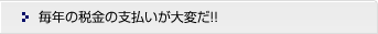 毎年の税金の支払いが大変だ！！